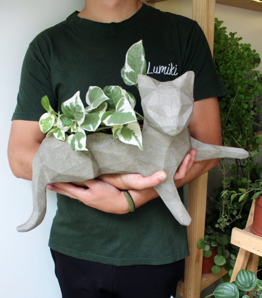 GATO 2 IMG_0551 22222222222