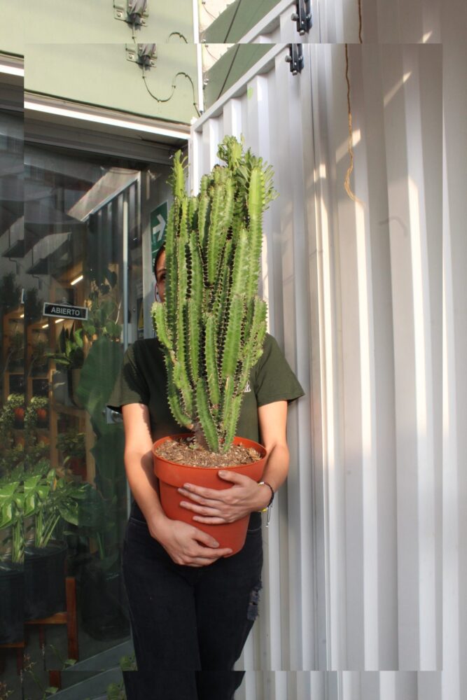 IMG_5545-2