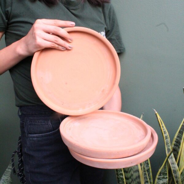 PLATO TERRACOTA